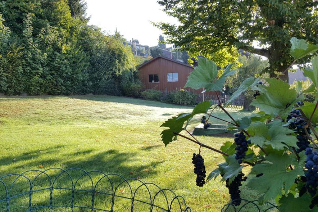 Brachbuhl Marie Huus Apartment Rohrbach Екстериор снимка